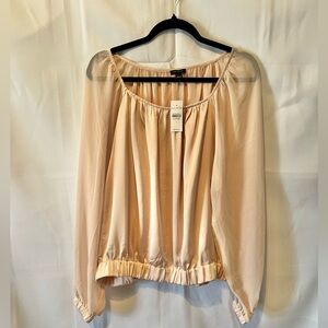 Ann Taylor Blush Blouse